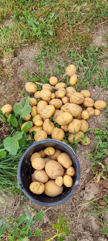 Kolejne podbieranie i niespodzianka