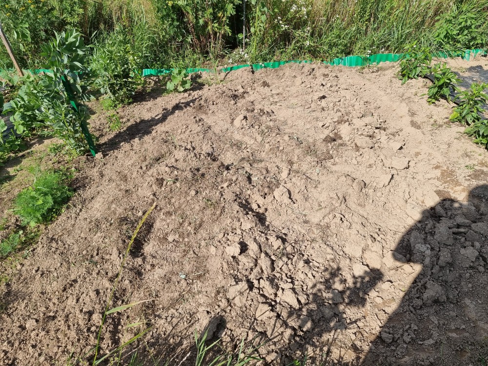 Wyczyszenie i przekopanie części działki pod dalsze zabiegi