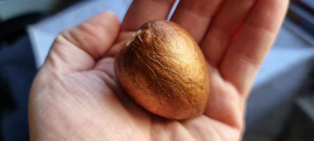 Zmiana wody i TAKA niespodzianka :)